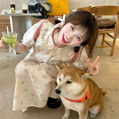 寻找爱的冒险